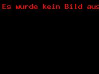 HDV Turnier 2012_119